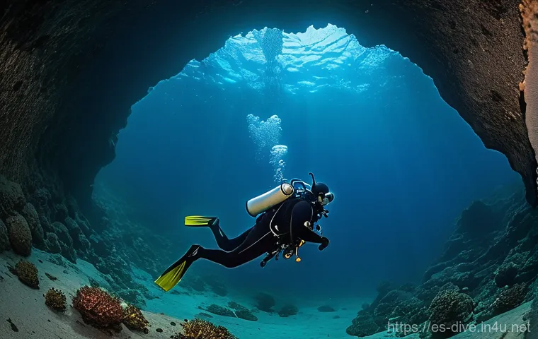 다이빙 강사 커리어의 미래 전망 - **"A modern dive center lounge area. A male dive instructor, dressed in a casual but professional po...